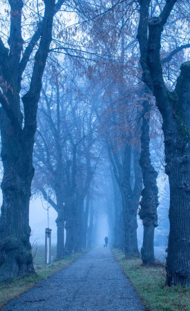 M.Windisch